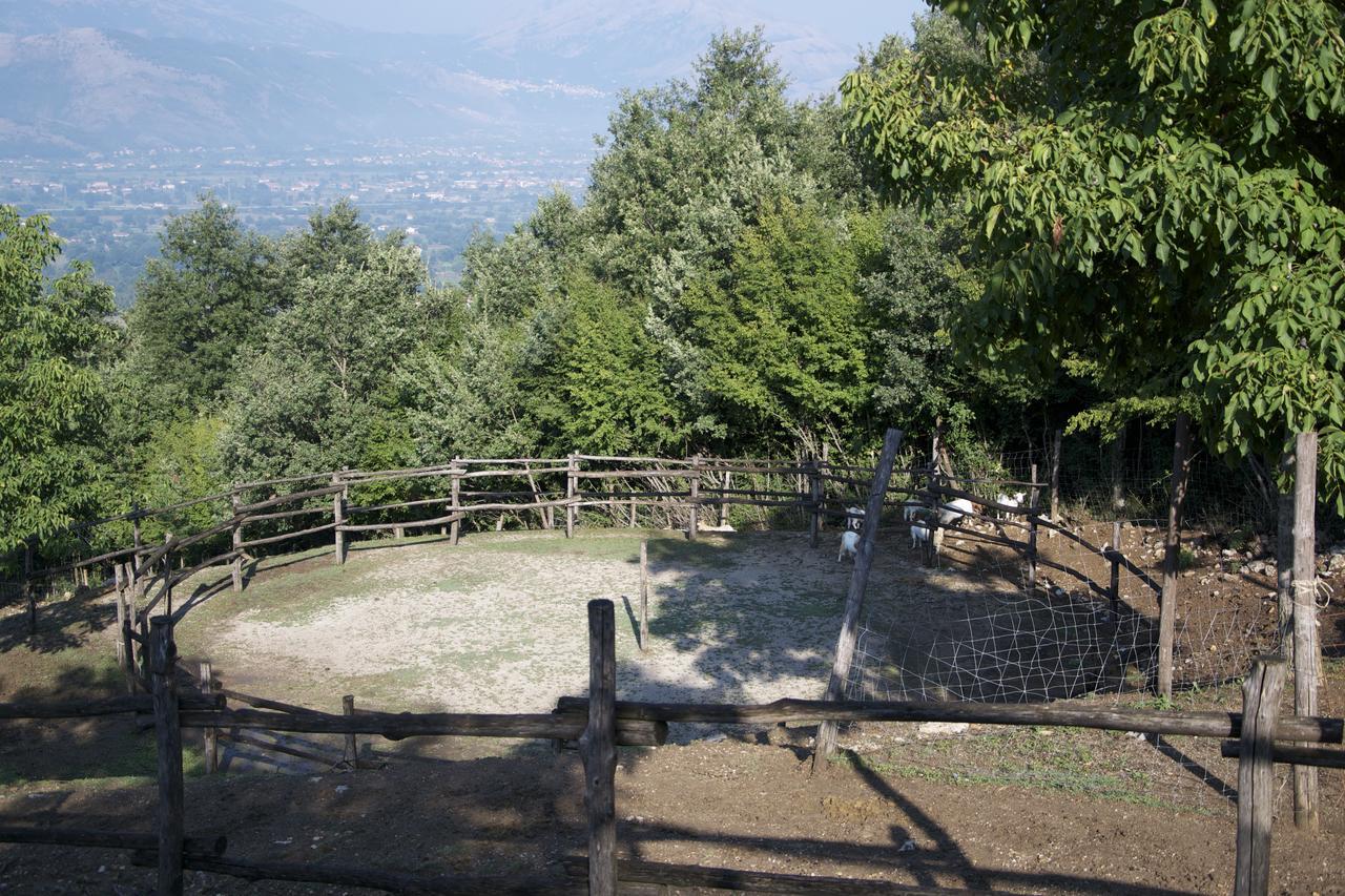 Fattoria Alvaneta Падула Екстер'єр фото